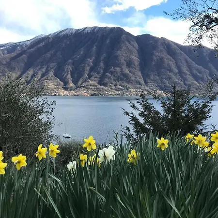 Apartman Big With View And Three Bedrooms