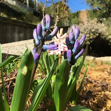 Big With View&three Bedrooms *